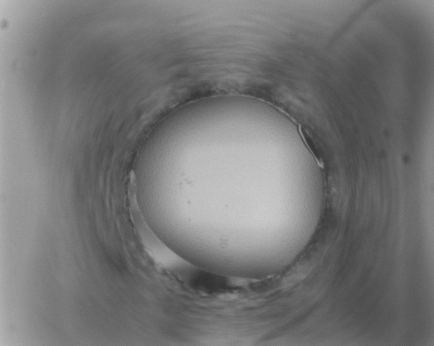 X0000065961057200603172019