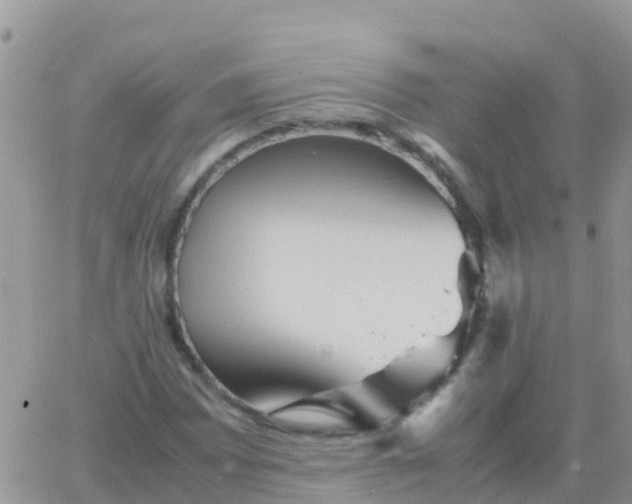 X0000065961065200603172019