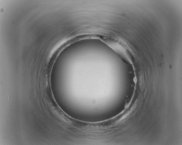 X0000065961069200603172019