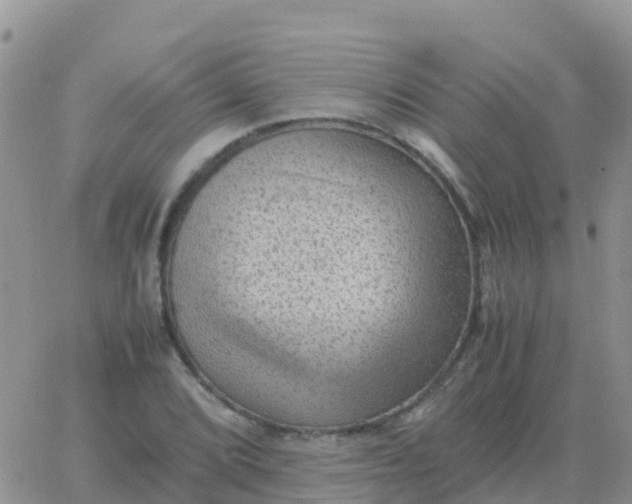 X0000065961072200603172019