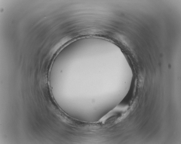 X0000065961073200603172019