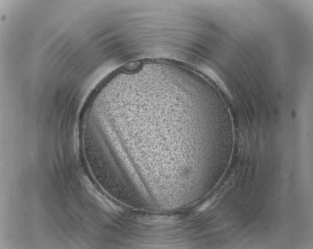 X0000065961076200603172018