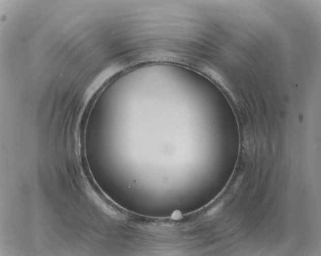 X0000065961082200603172018