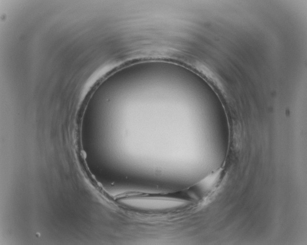 X0000065961085200603172018