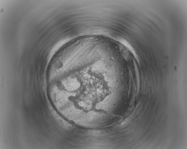 X0000065961088200603172018