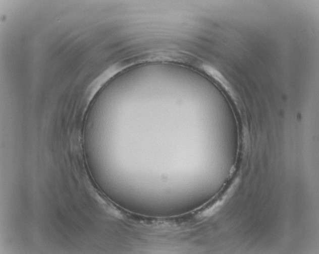 X0000065961089200603172018