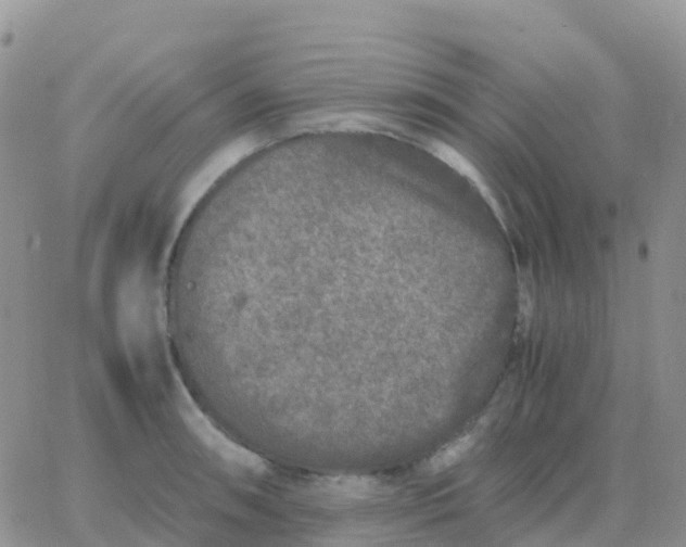 X0000065961090200603172018