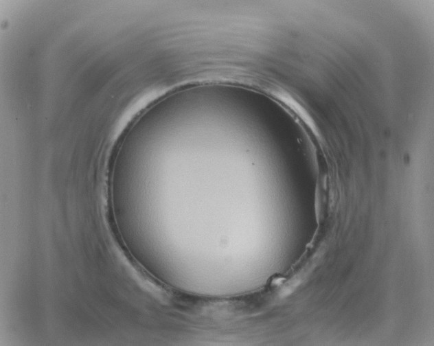 X0000065961093200603172018