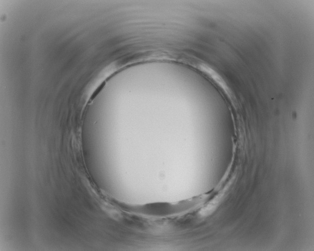 X0000065961097200603172018