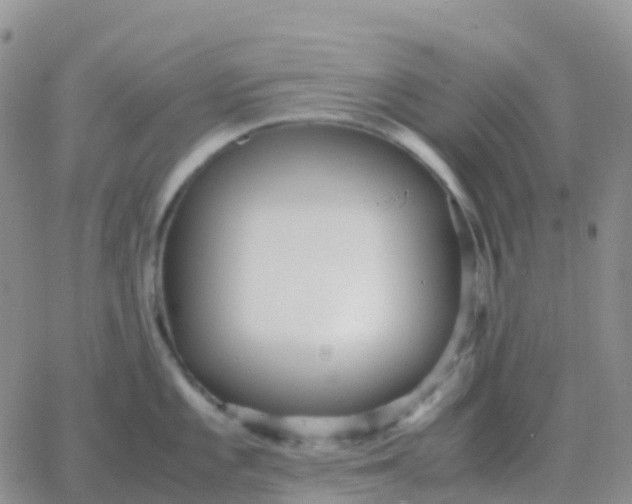 X0000065961101200603172018