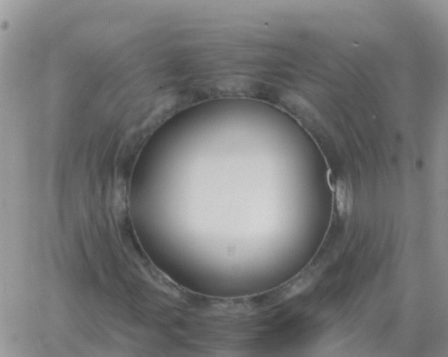 X0000065961107200603172017