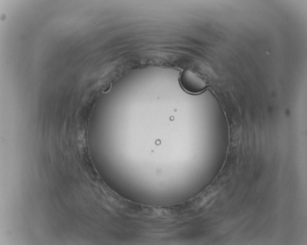 X0000065961109200603172017