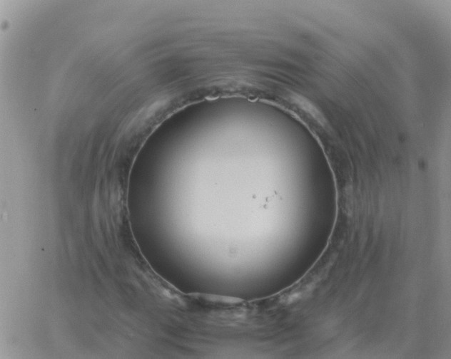 X0000065961111200603172017