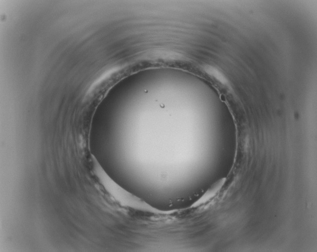 X0000065961112200603172017