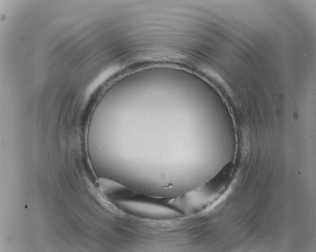 X0000065961114200603172017