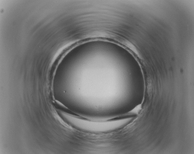 X0000065961116200603172017