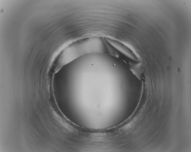 X0000065961118200603172017