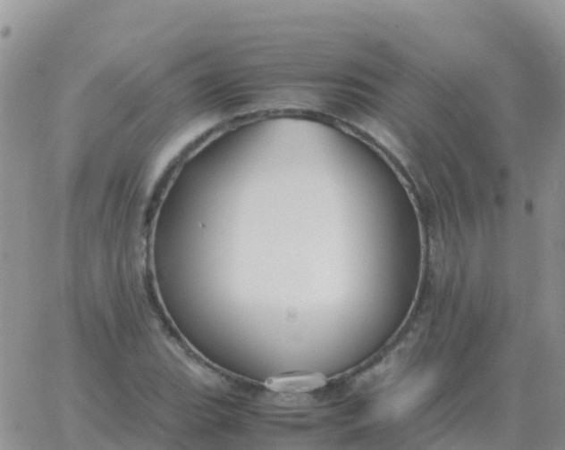 X0000065961119200603172017