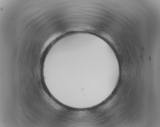 X0000065961122200603172018