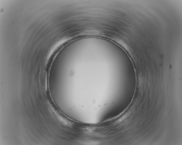 X0000065961123200603172018