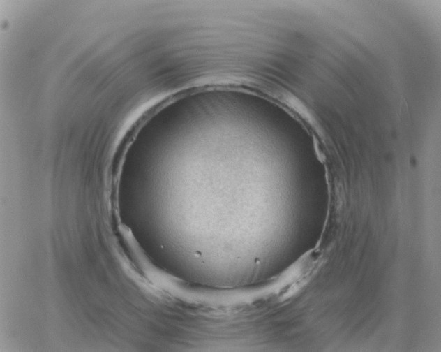 X0000065961124200603172018