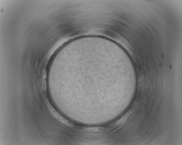 X0000065961126200603172018