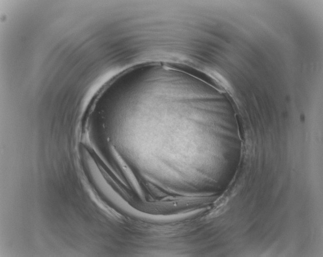 X0000065961128200603172018