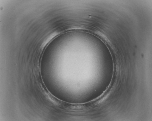 X0000065961129200603172018