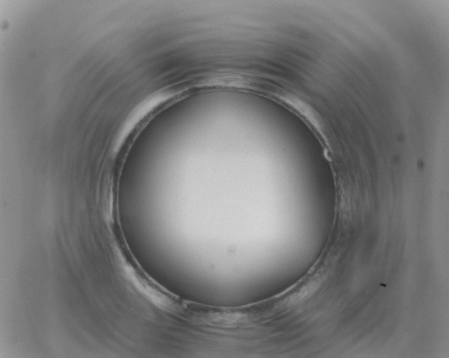 X0000065961131200603172018