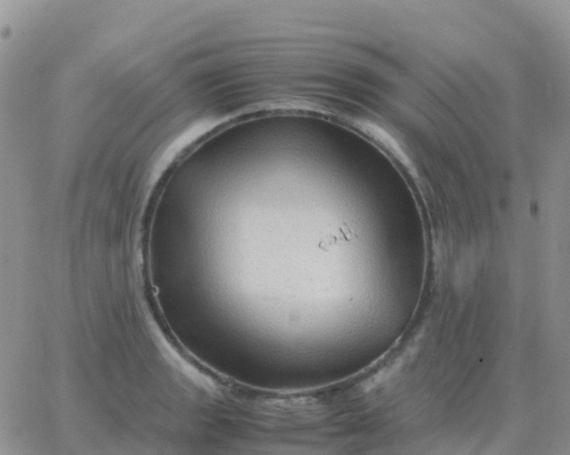 X0000065961133200603172018