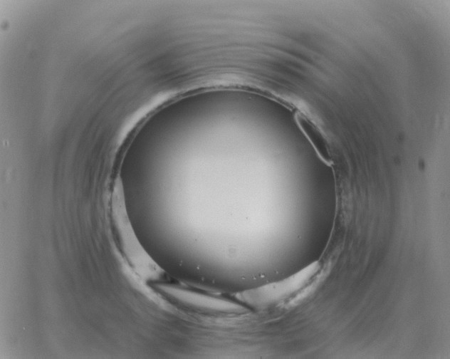 X0000065961134200603172018