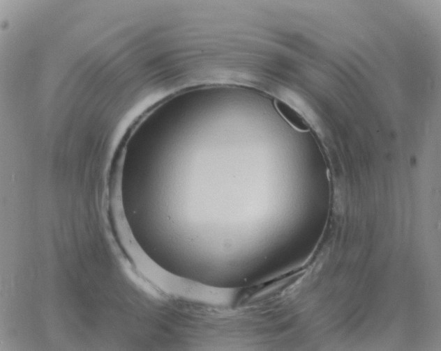 X0000065961136200603172018