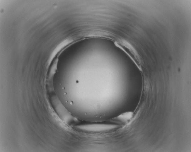 X0000065961138200603172018