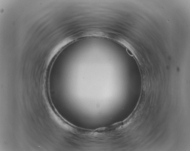 X0000065961139200603172018