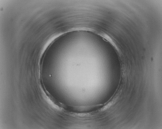 X0000065961140200603172018