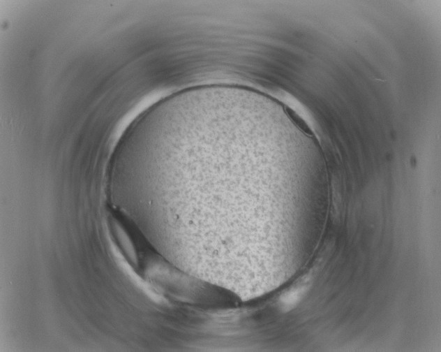 X0000065961142200603172018