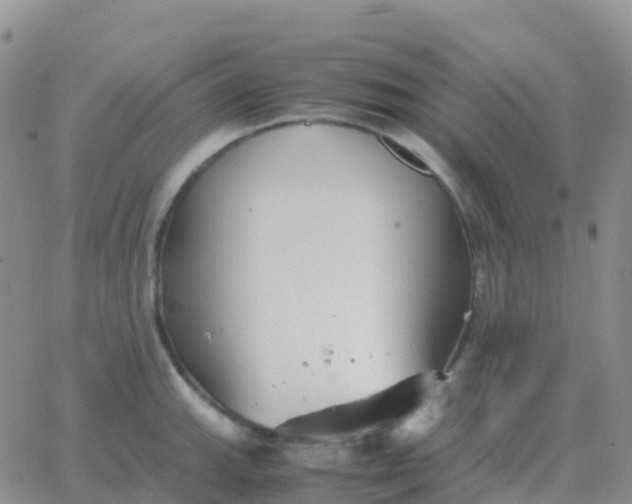 X0000065961143200603172018