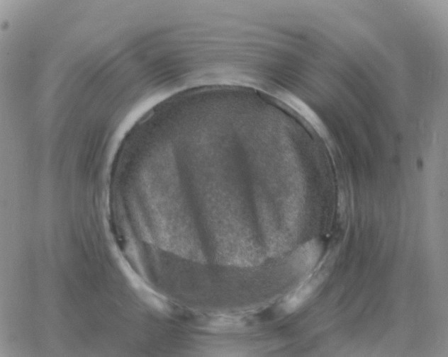 X0000065961144200603172018