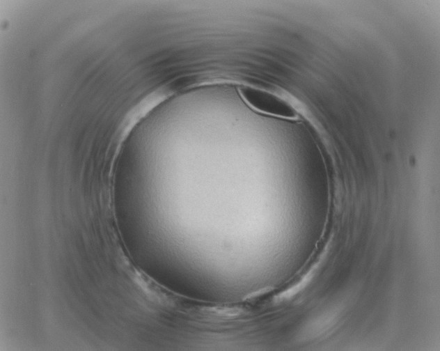 X0000065961145200603172018