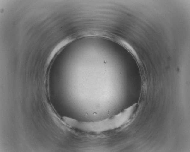 X0000065961146200603172018