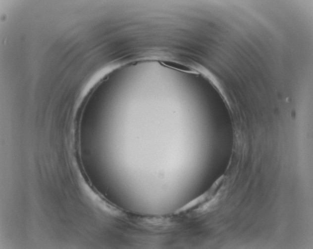 X0000065961147200603172018