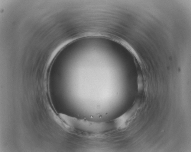 X0000065961148200603172018