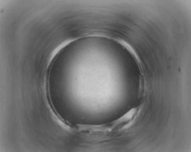 X0000065961149200603172018