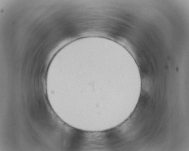 X0000065961150200603172018