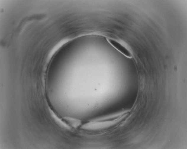 X0000065961151200603172018