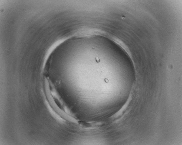 X0000065961152200603172018