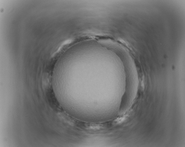 X0000065961157200603172017