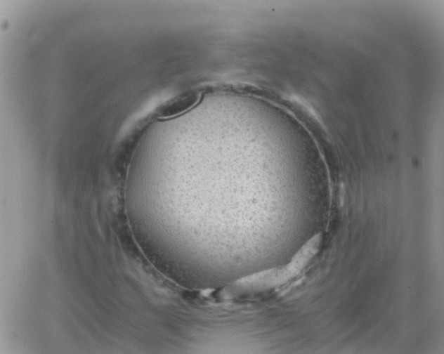 X0000065961159200603172017