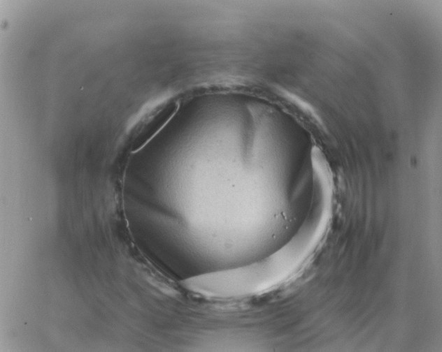 X0000065961160200603172017