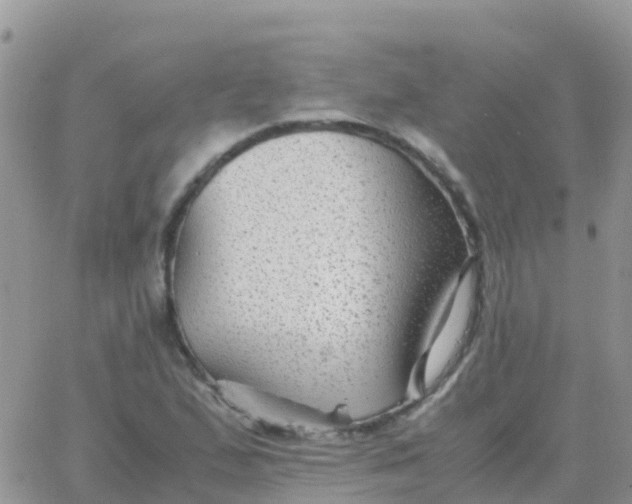 X0000065961167200603172017